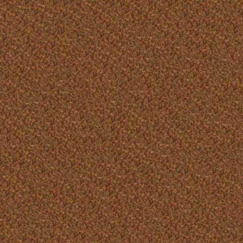 Grande Boucle Burnt Orange