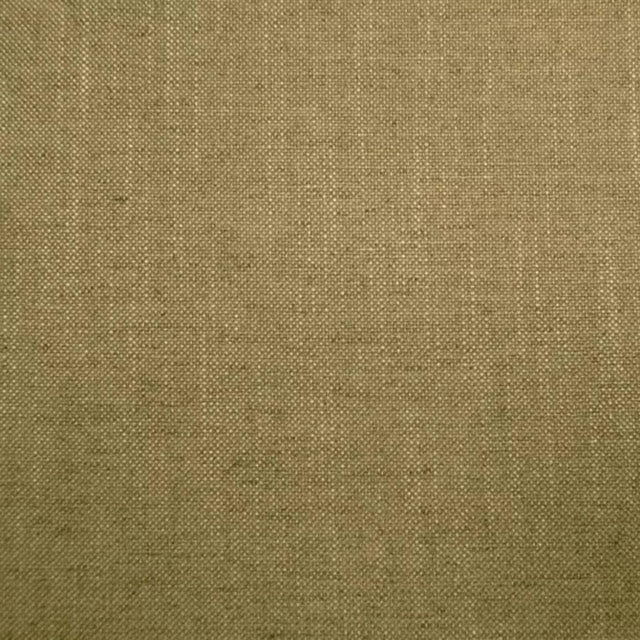 Husk Olive