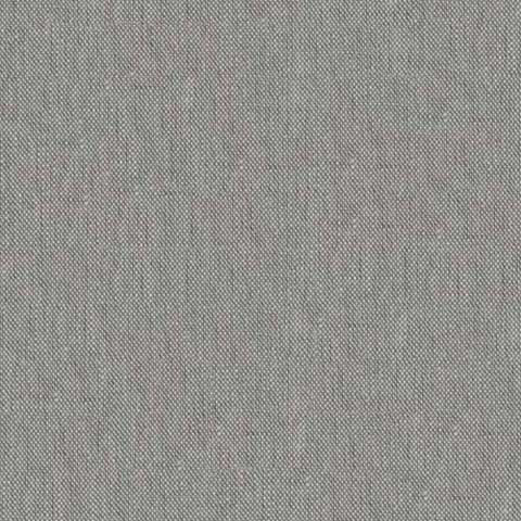Infinite Birch